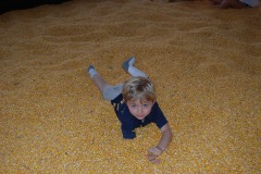 Alexander goes for a swim in the corn!
