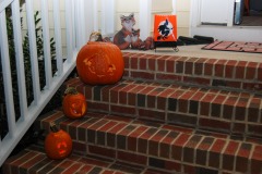 Vampire, ghost, and Lumpy pumpkins...
