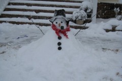 Lovely job on the snowman in spite of not having the right kind of snow...