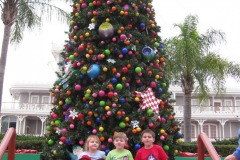 Lookit what's under the Christmas tree!
