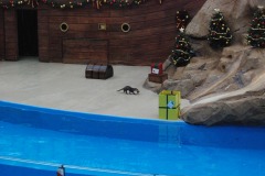 ...the otter!