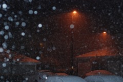 Snowy night!