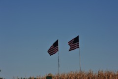 Flags waving in the breeze...