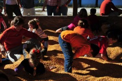 And the corn starts flying...