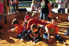 Corn going down the shirts...