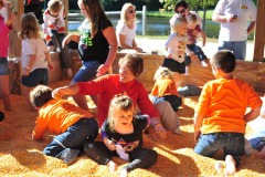Corn going down the shirts...
