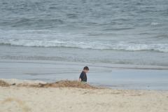 Nicholas wandering on the shore...