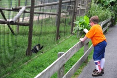 Alex fascinated with the monkeys...