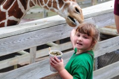 Nope, Katie isn't being eaten by the giraffe...
