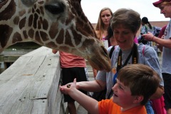 Giraffe finding a yummy treat... :)