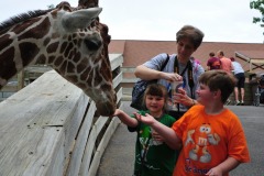 Katie and Alex trying their hand at feeding the giraffe...