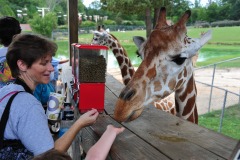 Mommy with some more giraffe food...