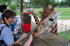Mommy with some more giraffe food...