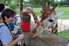Mommy with some more giraffe food...