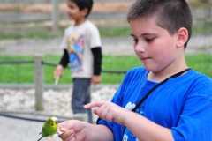 Nick and the parakeet matching wits...