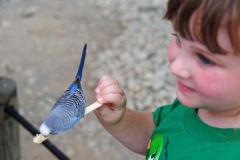 Katie found a blue one...