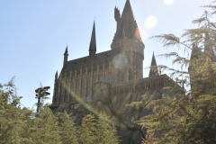 A different view of Hogwarts...
