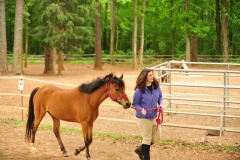 And here comes the real star of the herd... :)