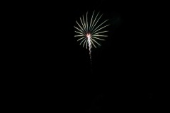 DSC_1919