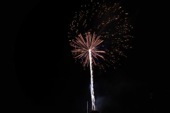 DSC_1965