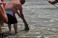 Check out the Crocodile Hunter here, eh?