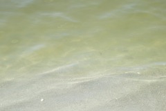 See them fishies?