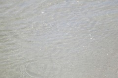 Ripples in the water...
