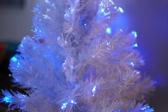 Alex's small LED trees...