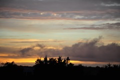 DSC_2769