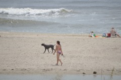 DSC_2195
