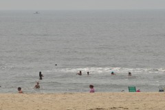DSC_6297