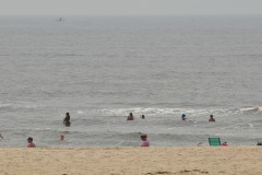 DSC_6299