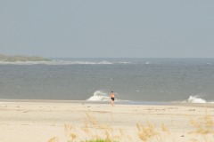 DSC_6337