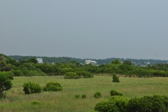 DSC_6390