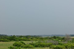 DSC_6416