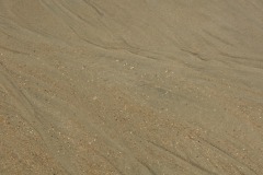 DSC_6654