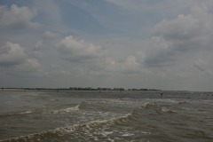 DSC_6901