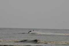 DSC_7079