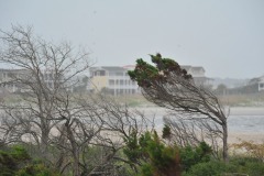 emw_20150803_183249_OIB_0014