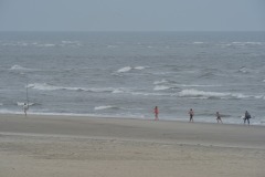 emw_20150805_172607_OIB_0013