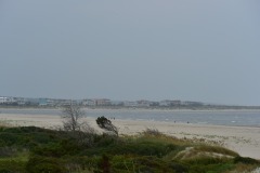 emw_20150805_172959_OIB_0020
