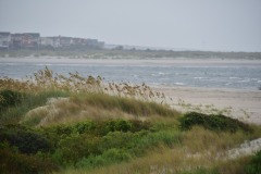 emw_20150805_193241_OIB_0230