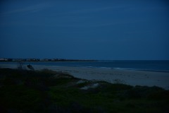 emw_20150810_202837_OIB_0726