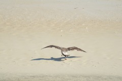 emw_20150814_165323_OIB_0426