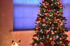 emw_20151225_170205_Christmas_0002