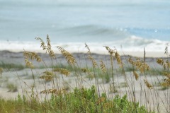 emw_20160804_103536_OIB_0042