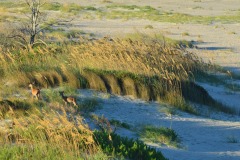 emw_20160817_192058_OIB_1237