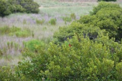 emw_20180802_094813_OIB_2018_0154