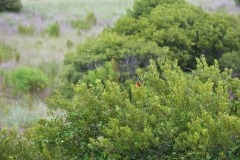 emw_20180802_094822_OIB_2018_0157