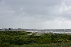 emw_20180802_095449_OIB_2018_0169